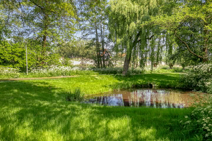 Foto 33 van Rode Klaver 19