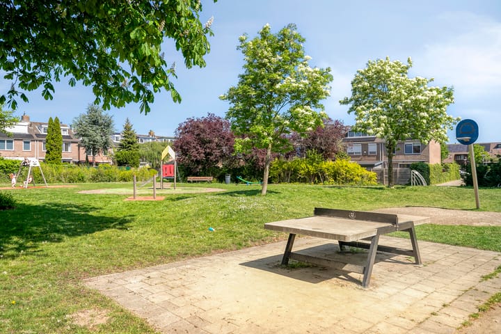 Foto 34 van Rode Klaver 19