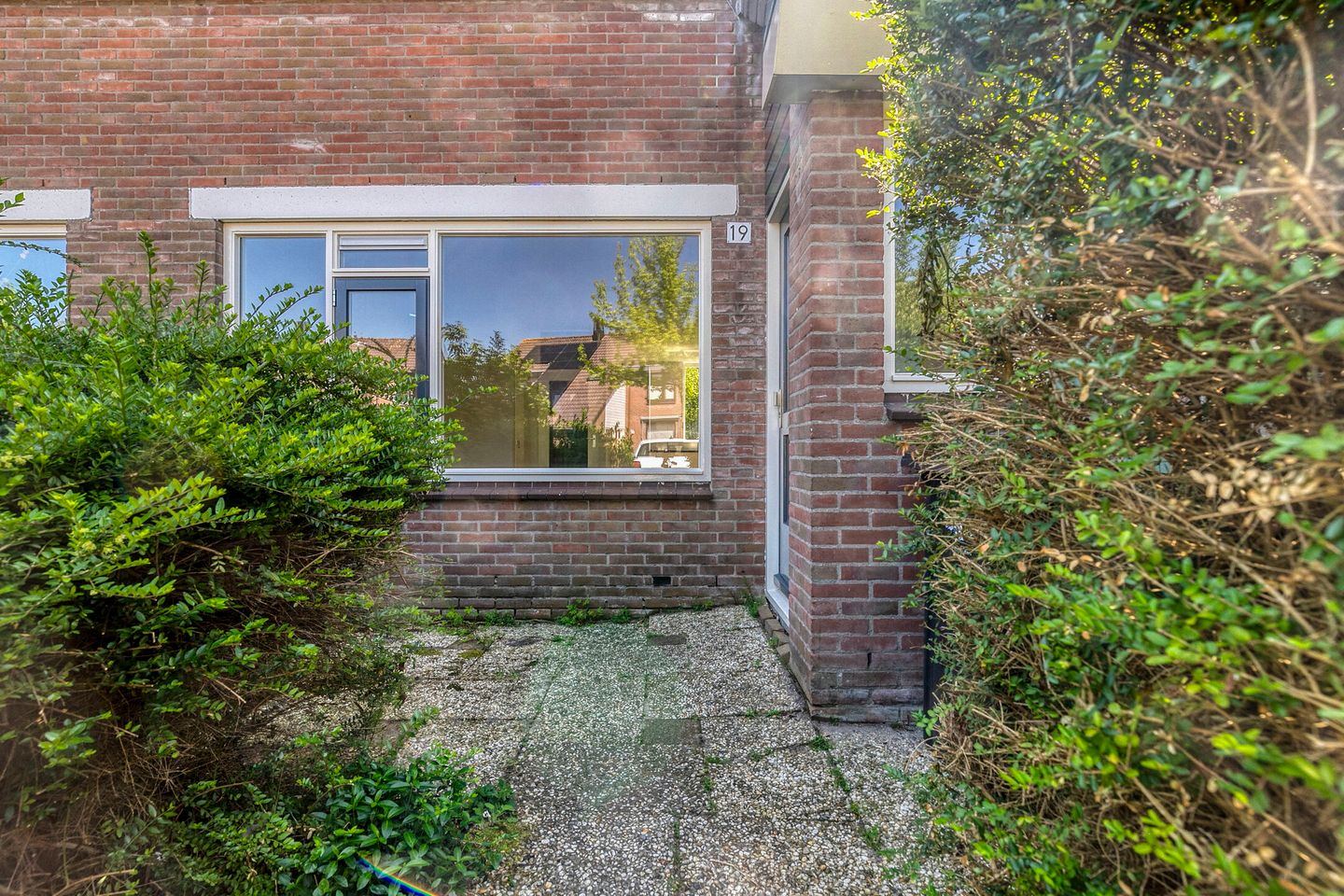 Foto 35 van Rode Klaver 19