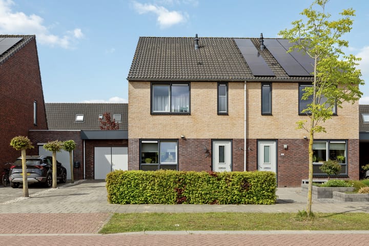 Foto 2 van Ringmus 47