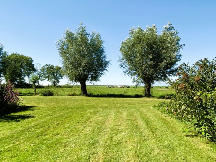 Foto 41 van Straatweg 25