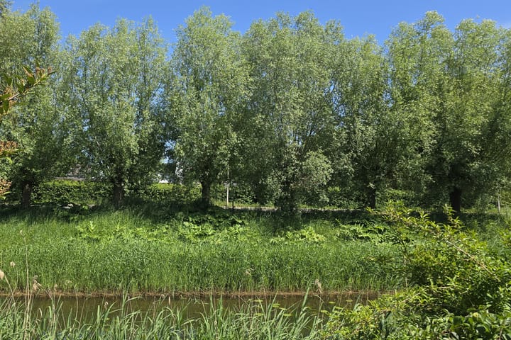 Photo 27 of Stokebrand 377