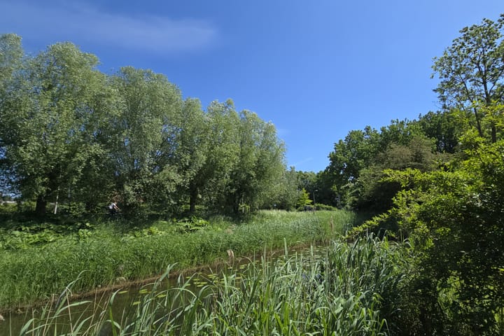 Photo 28 of Stokebrand 377