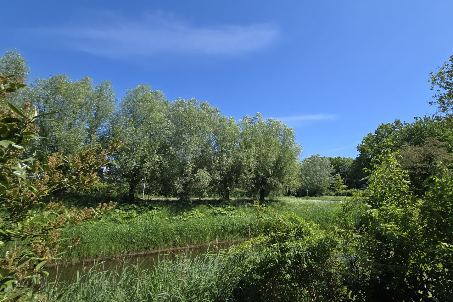 Foto 29 van Stokebrand 377