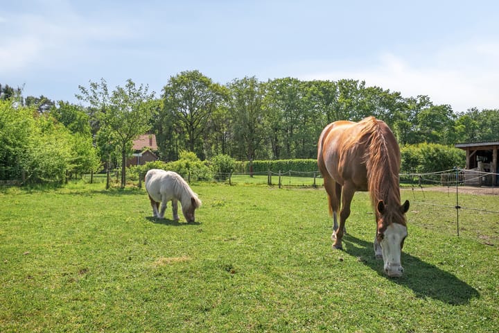 Photo 10 of Pandijk 18