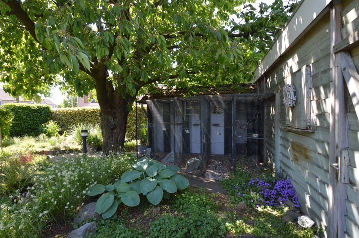 Foto 24 van Fitissingel 29