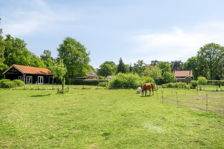 Photo 51 of Pandijk 18