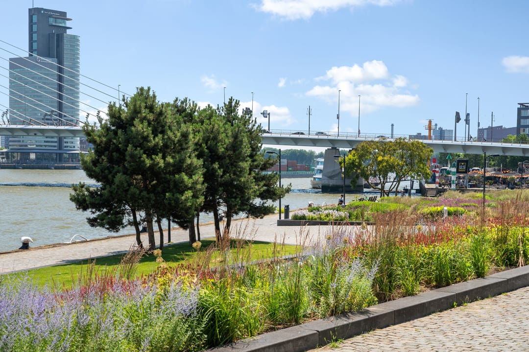 Foto 26 van Boompjes 387