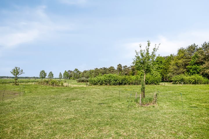 Photo 54 of Pandijk 18