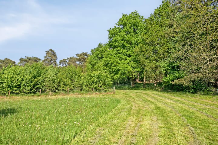 Photo 55 of Pandijk 18