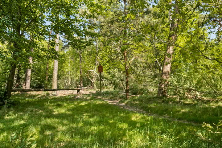 Photo 57 of Pandijk 18