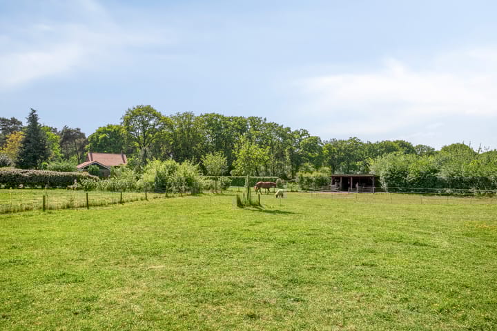 Photo 59 of Pandijk 18