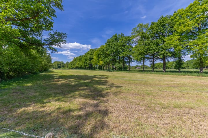 Foto 58 van De Riete 28