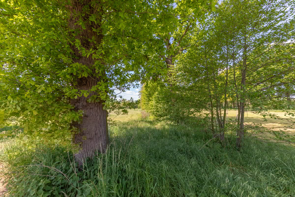 Foto 59 van De Riete 28