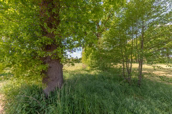 Foto 59 van De Riete 28