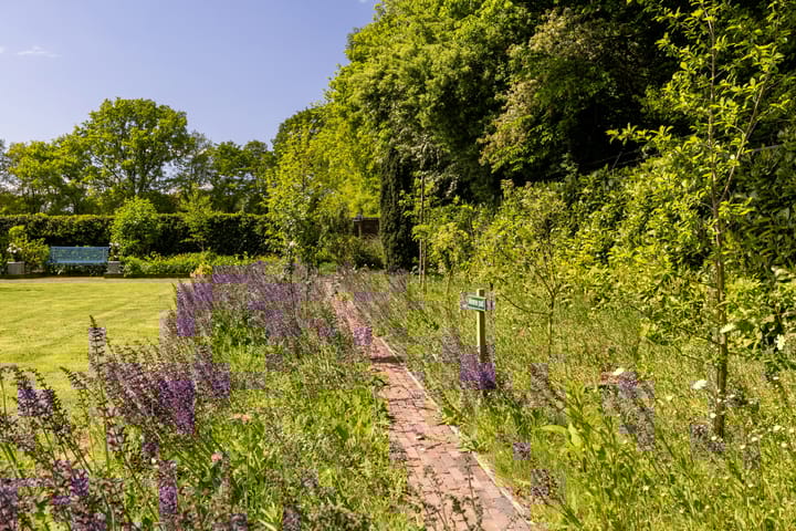 Photo 37 of Heetkamp 14