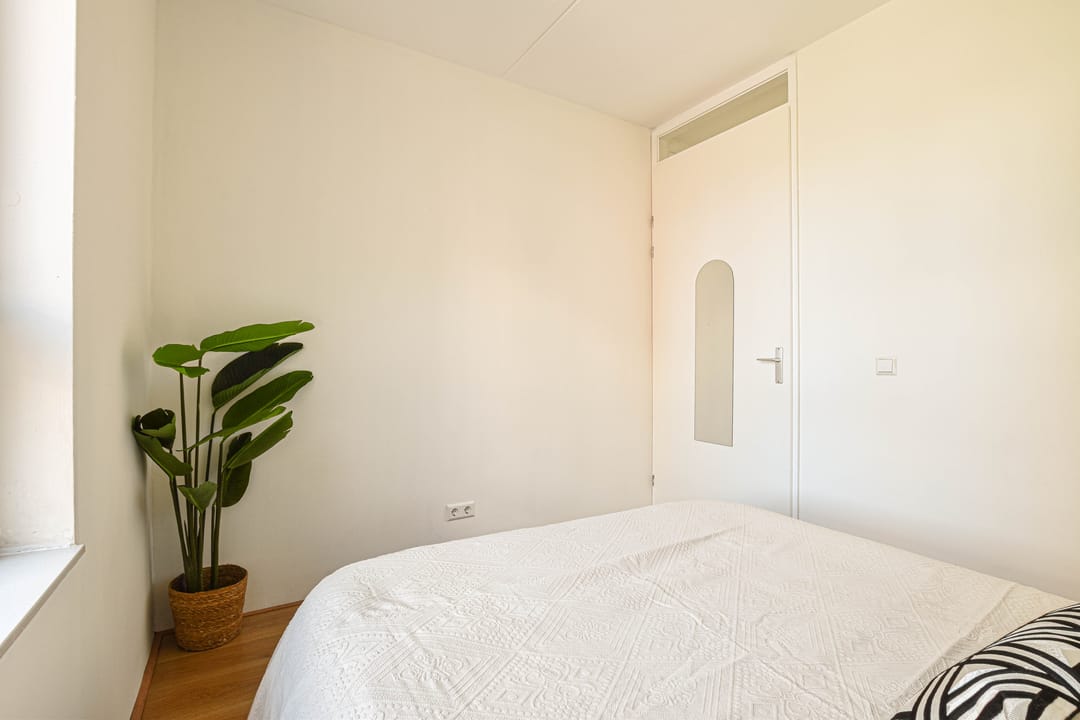 Foto 17 van Albardagracht 80