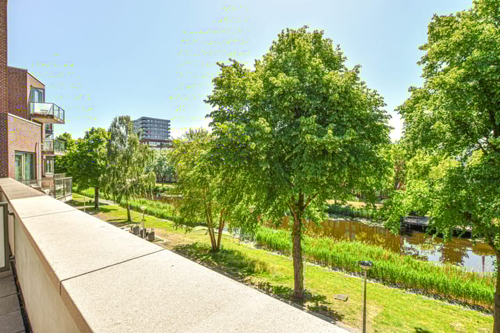 Foto 36 van Albardagracht 80