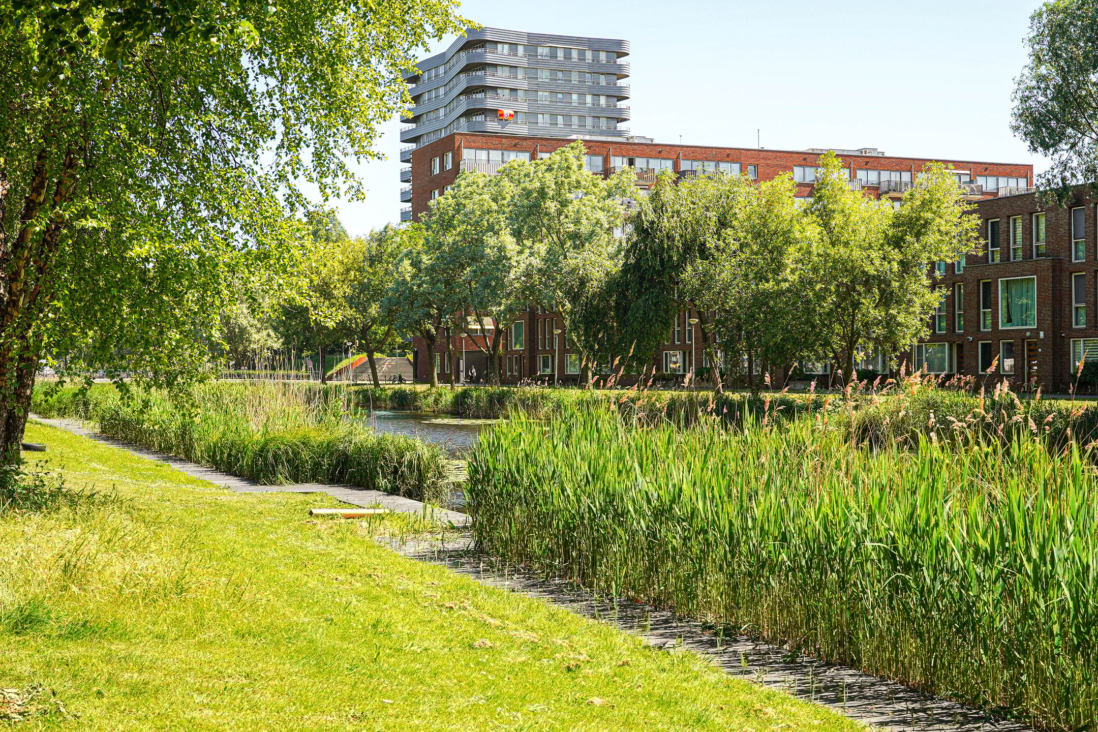 Foto 42 van Albardagracht 80