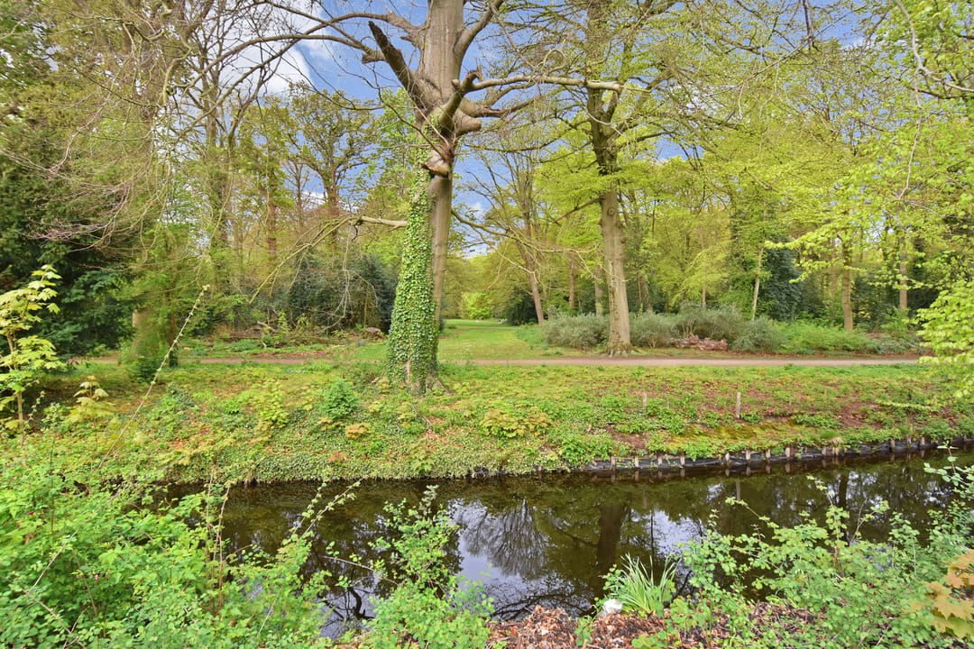 Foto 2 van Floris Grijpstraat 23