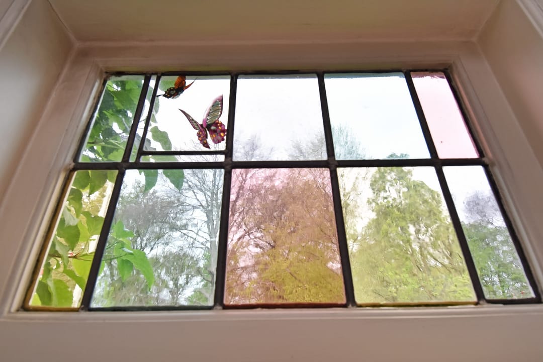 Foto 8 van Floris Grijpstraat 23