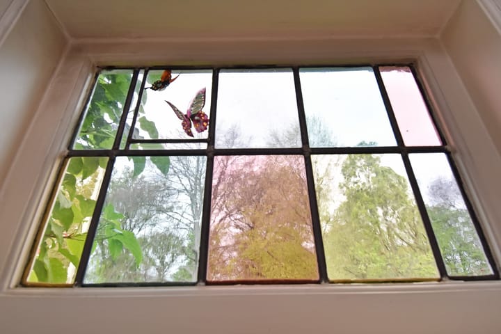 Foto 8 van Floris Grijpstraat 23