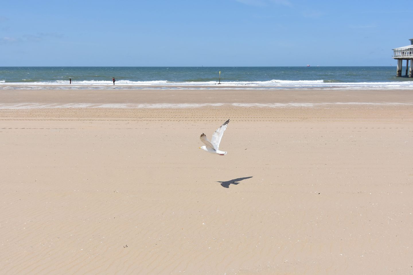 Foto 44 van Treilerdwarsweg 70