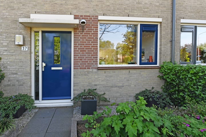 Foto 7 van Ranonkelweg 37