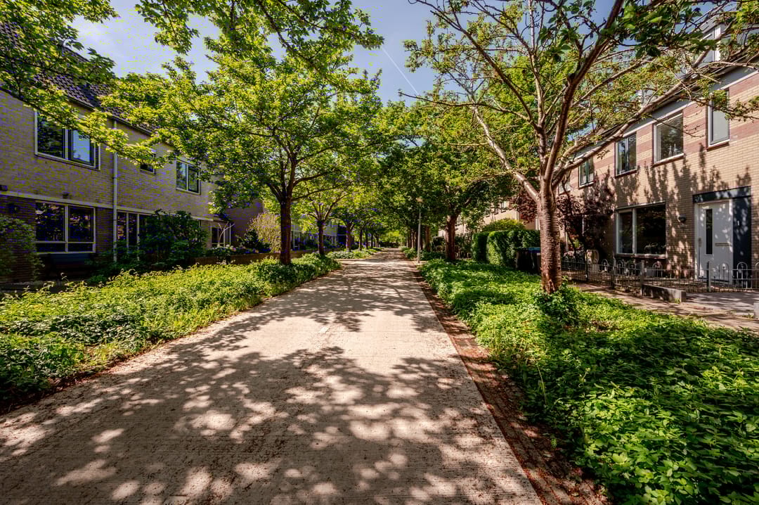 Foto 38 van Chopindreef 40