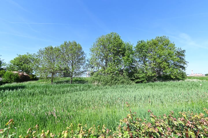 Foto 46 van Ranonkelweg 37