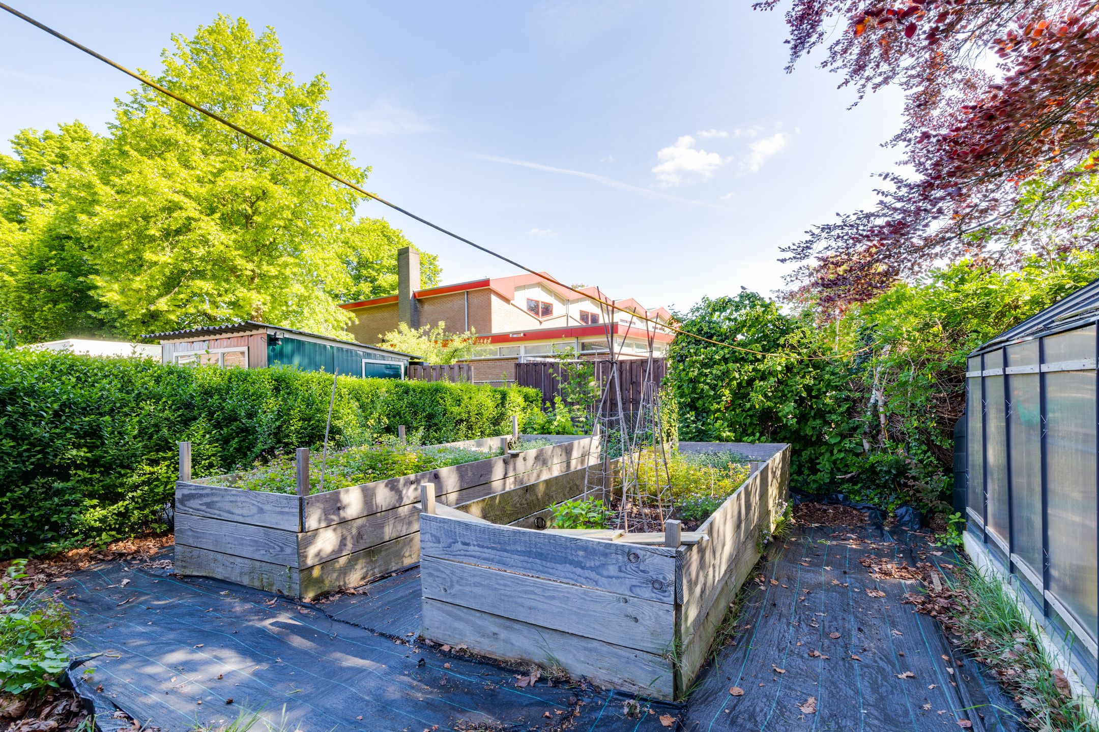 Foto 33 van Asterstraat 57