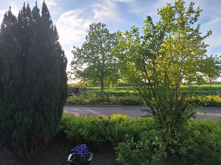 Foto 4 van De Plaat 15