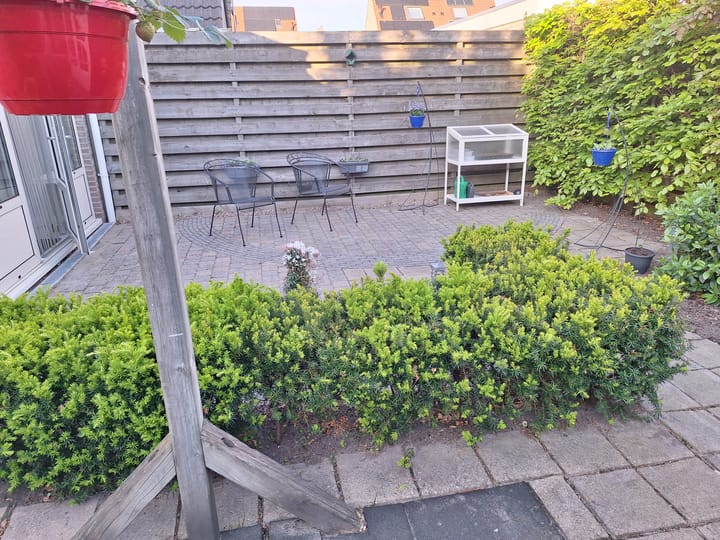 Foto 31 van De Plaat 15