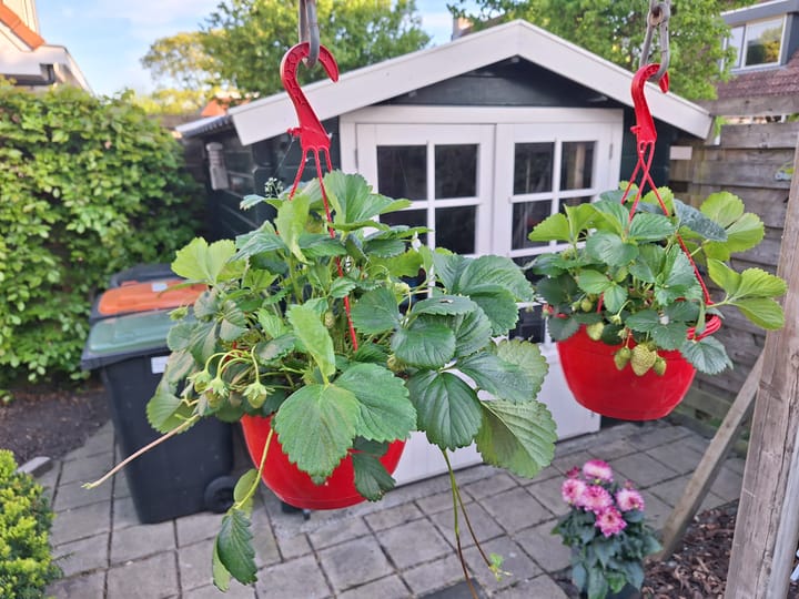 Foto 34 van De Plaat 15