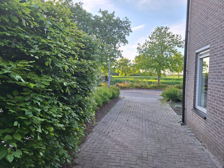 Foto 36 van De Plaat 15