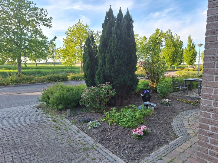 Foto 37 van De Plaat 15