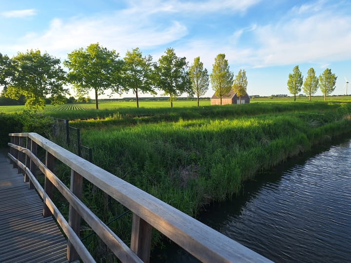 Foto 38 van De Plaat 15