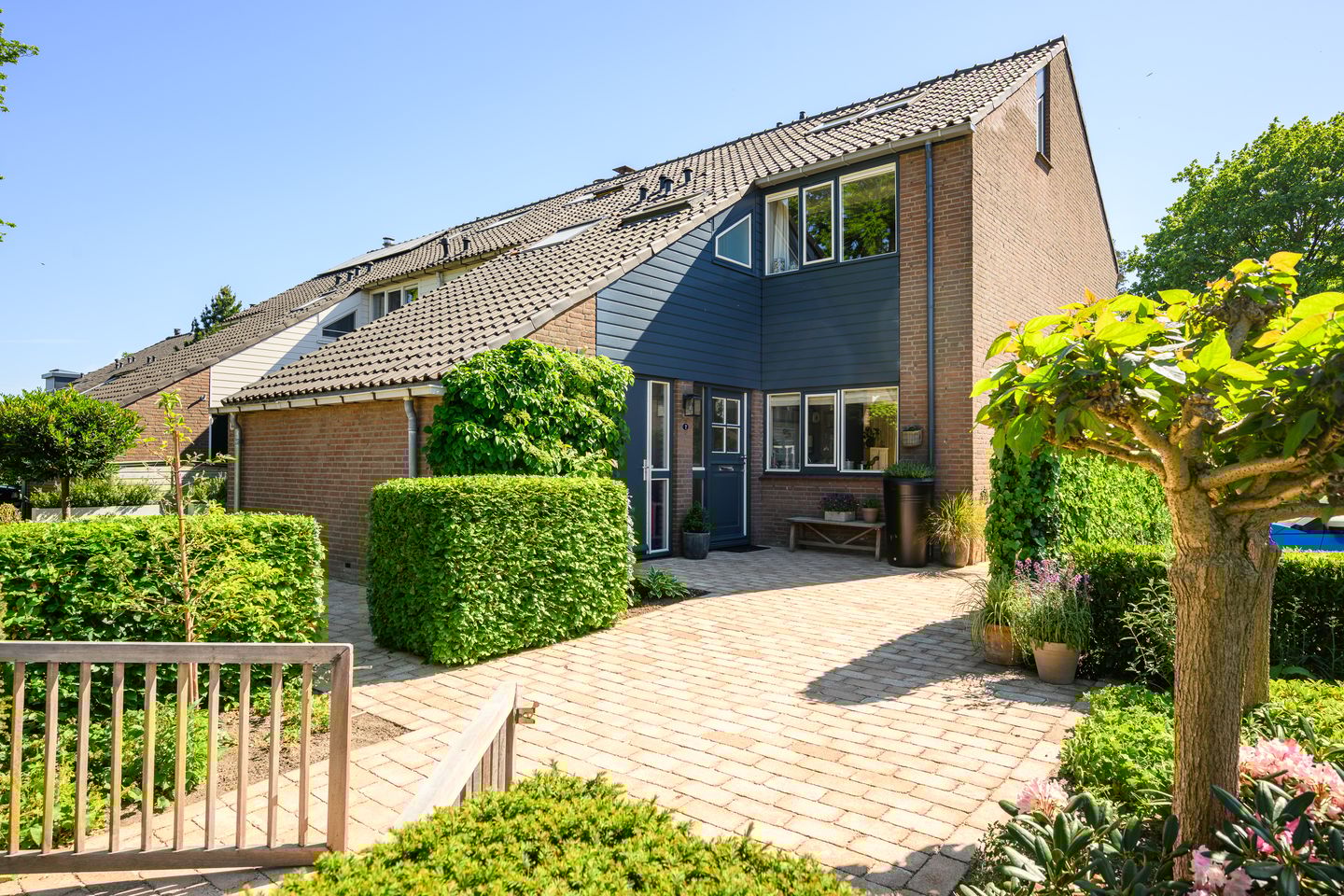 Foto 1 van Zadelrob 2