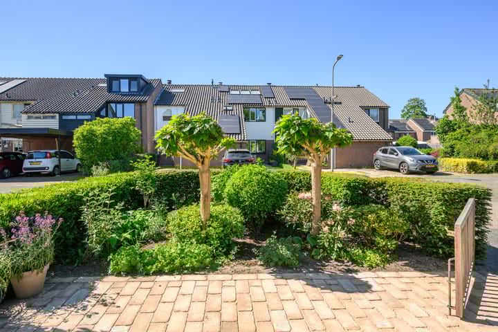 Foto 3 van Zadelrob 2