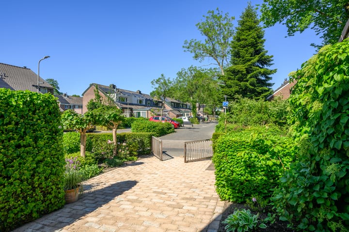 Foto 47 van Zadelrob 2