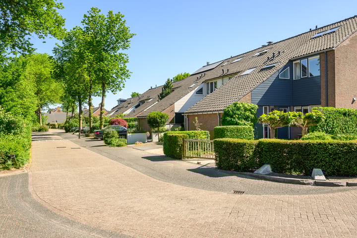 Foto 49 van Zadelrob 2