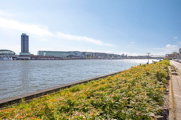 Foto 33 van Het Dok 29