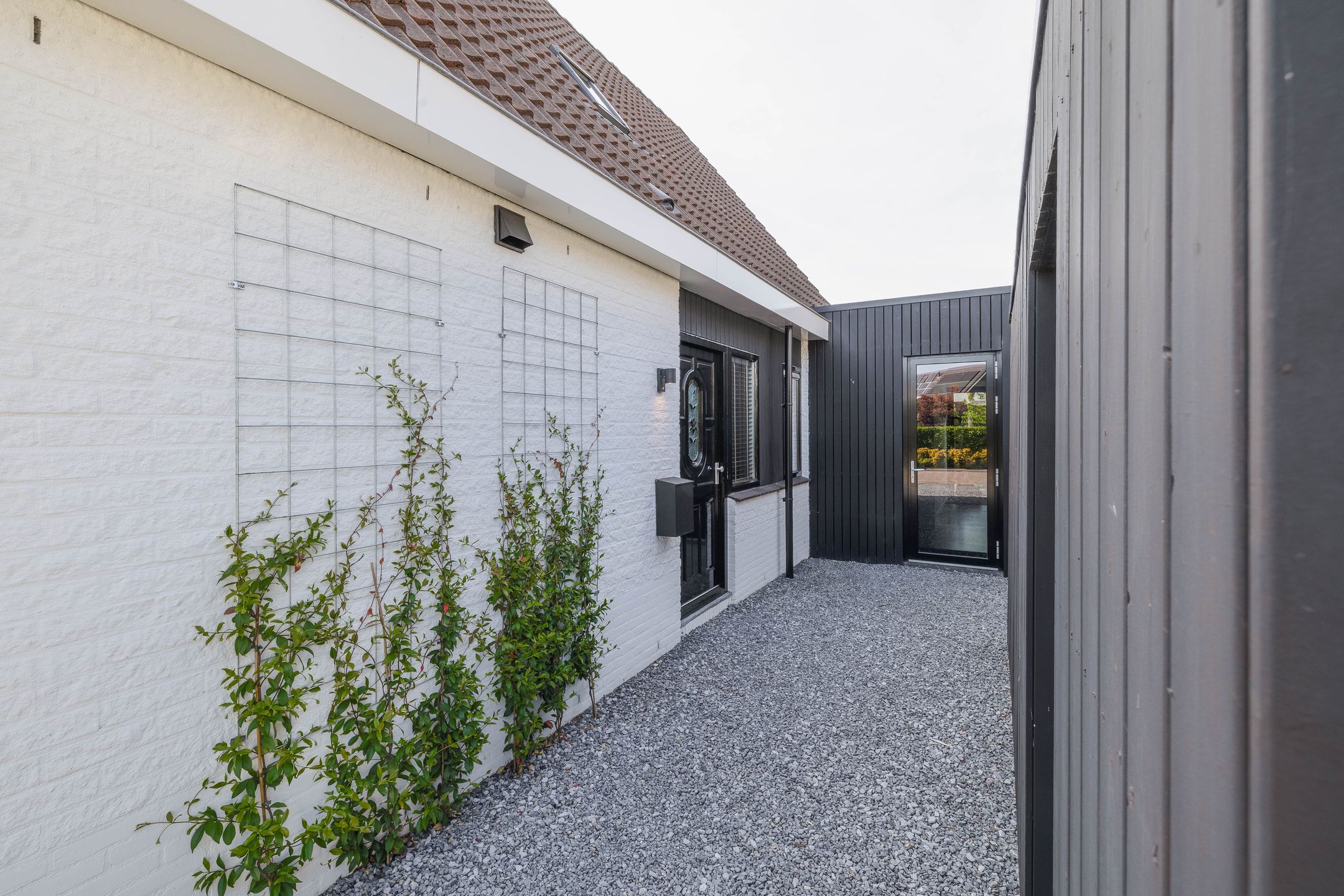 Foto 6 van Schorpioen 4