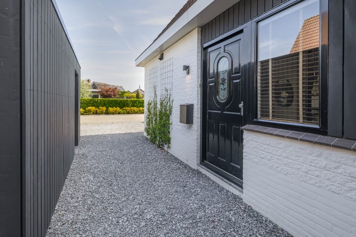 Foto 7 van Schorpioen 4