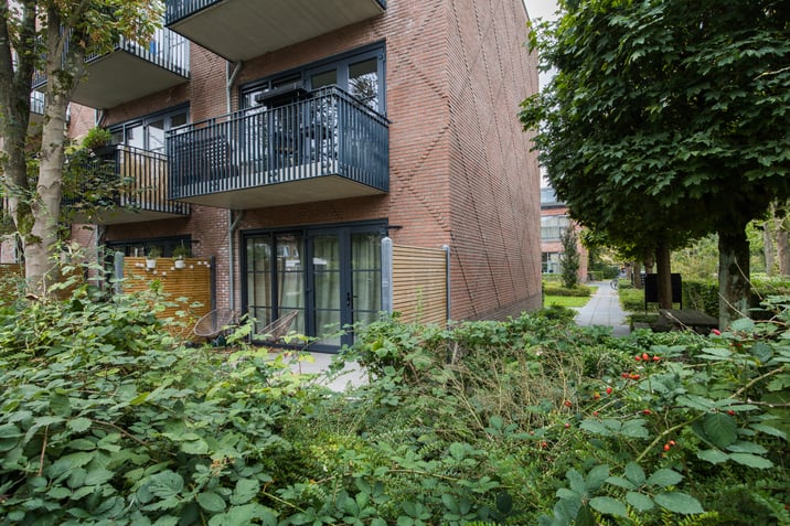 Hooft Graaflandstraat 2-C4