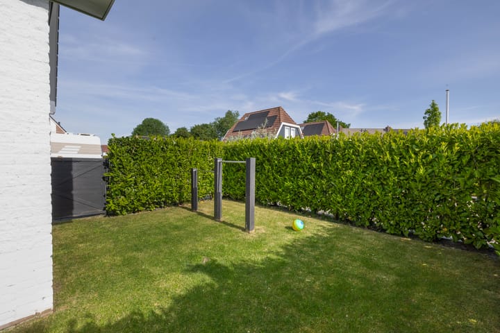 Foto 45 van Schorpioen 4