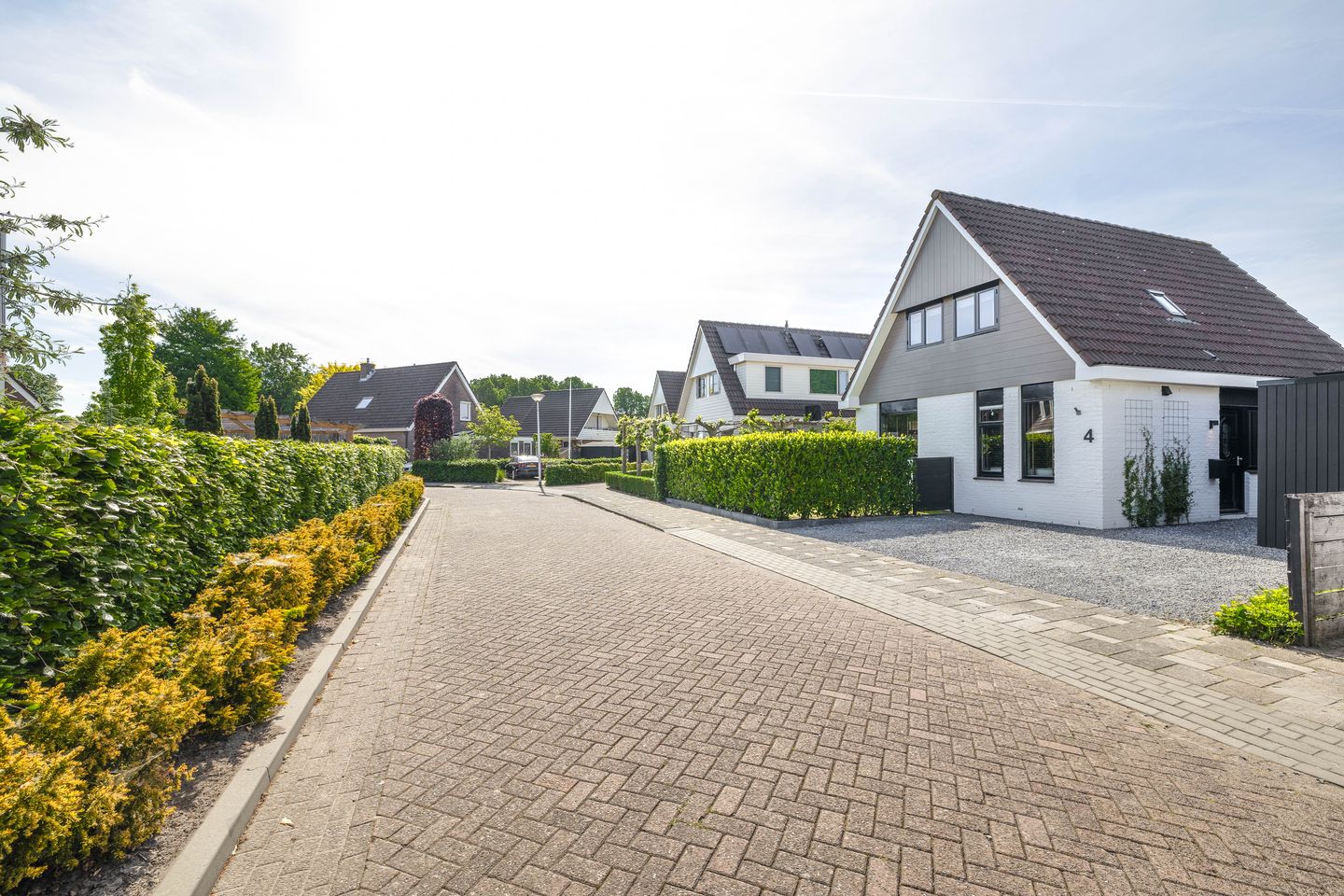 Foto 49 van Schorpioen 4