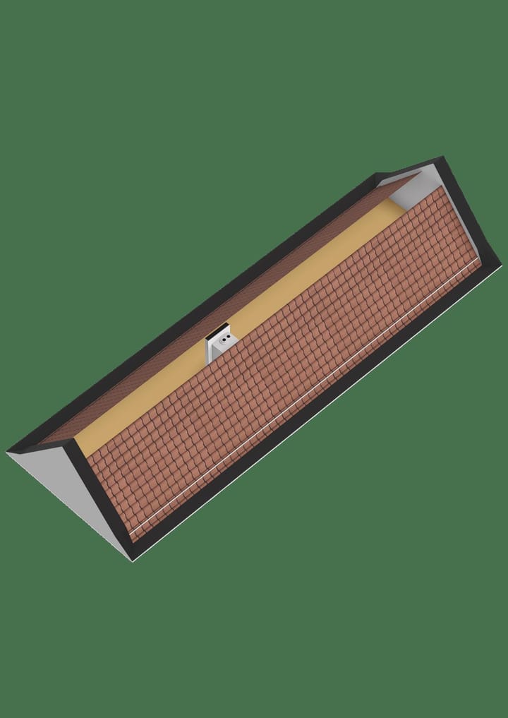 Foto 55 van Schorpioen 4