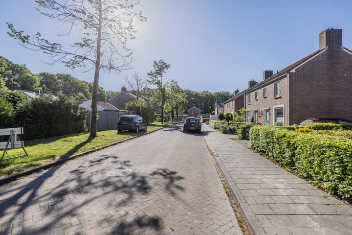 Foto 48 van Lindelaan 1