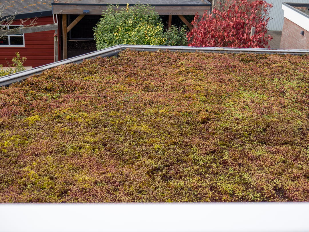 Foto 22 van Westerweg 344